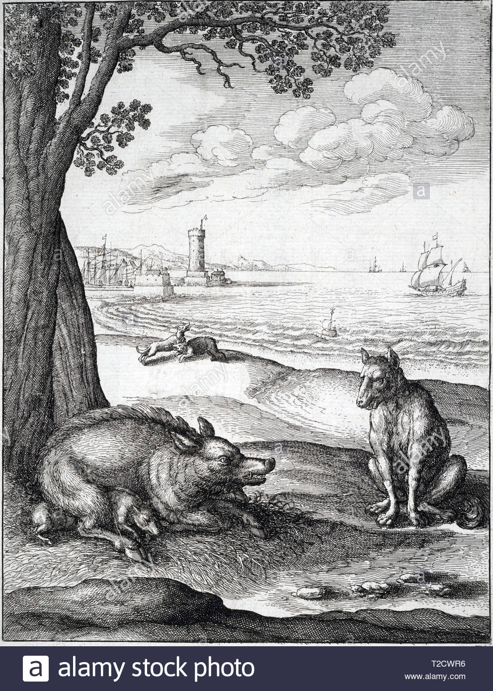 Der Wolf und die Sau, einer der Aesops Fabeln, Radierung von Böhmische Kupferstecher Wenzel Hollar aus 1600s Stockfoto