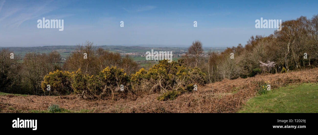 Blick über das Tal in Richtung Otter Ottery St Mary aus dem Osten Hill Streifen, Devon Stockfoto