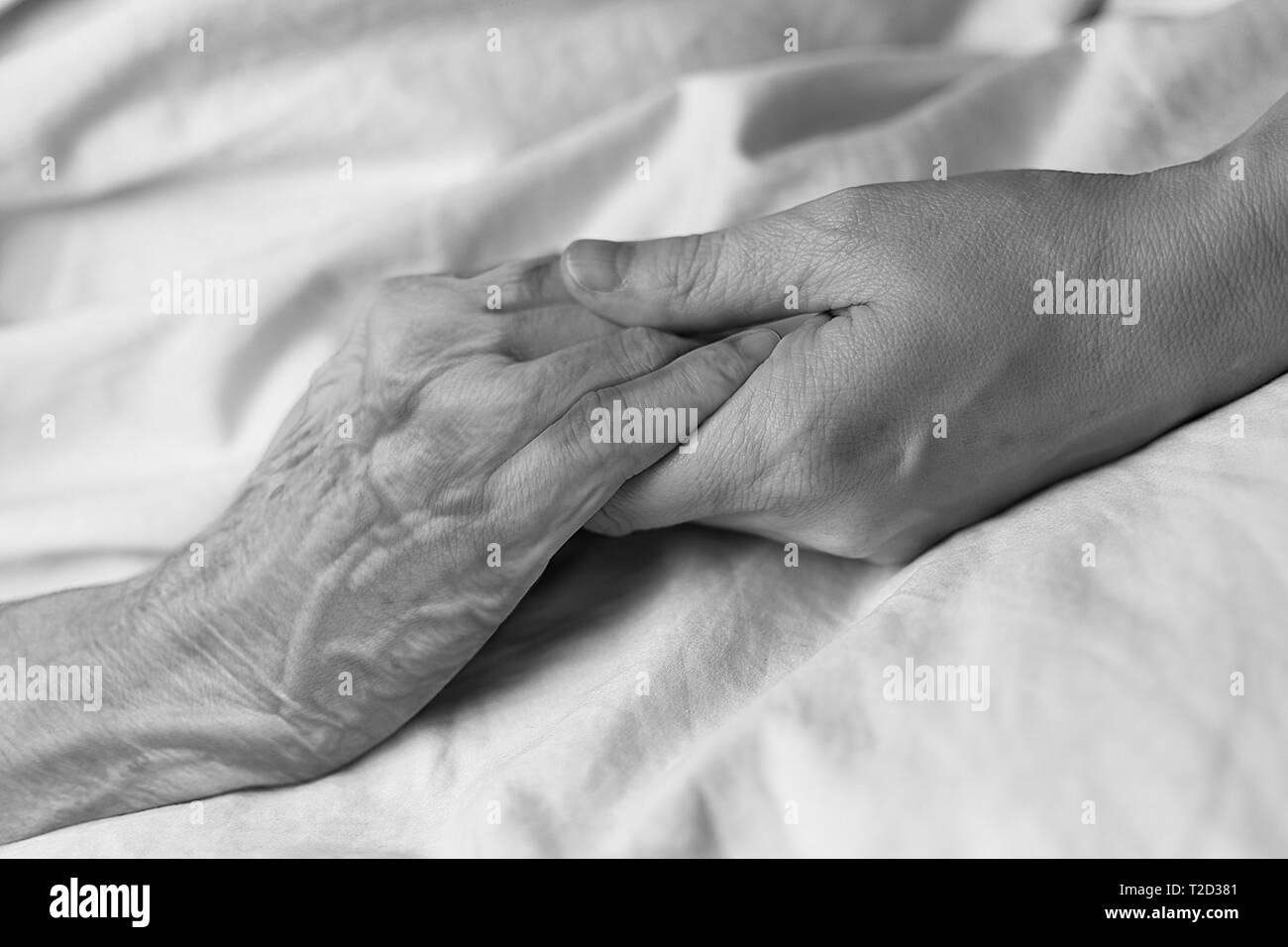 Eine junge Frau die Hand einer alten Frau in einem Krankenhausbett, in Schwarz und Weiß Stockfoto