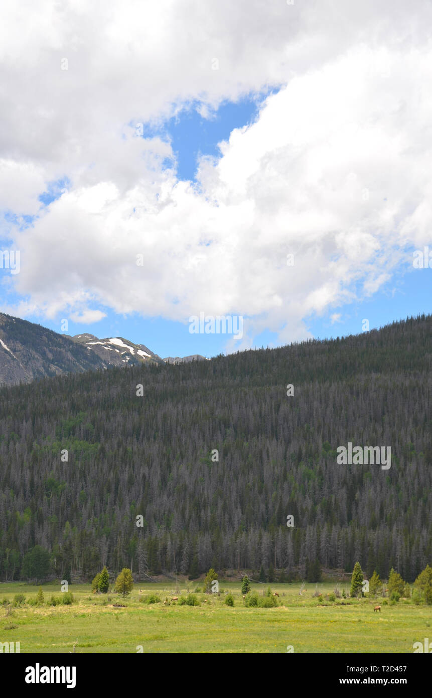 Rocky Mountains Colorado USA Nordamerika Stockfoto