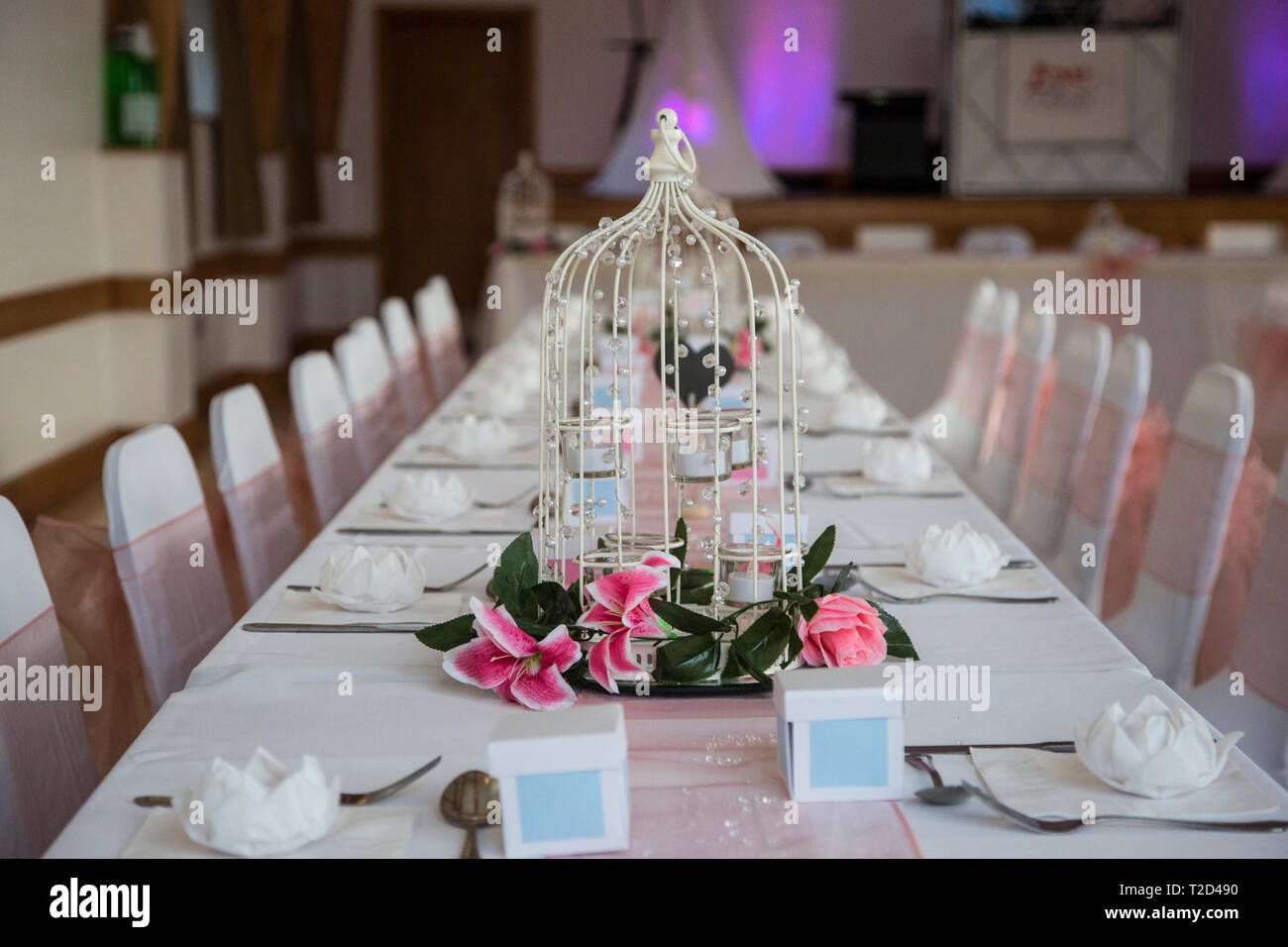Hochzeit Empfang auf einem hellen, sonnigen Tag in England Veranstaltungsort Stockfoto
