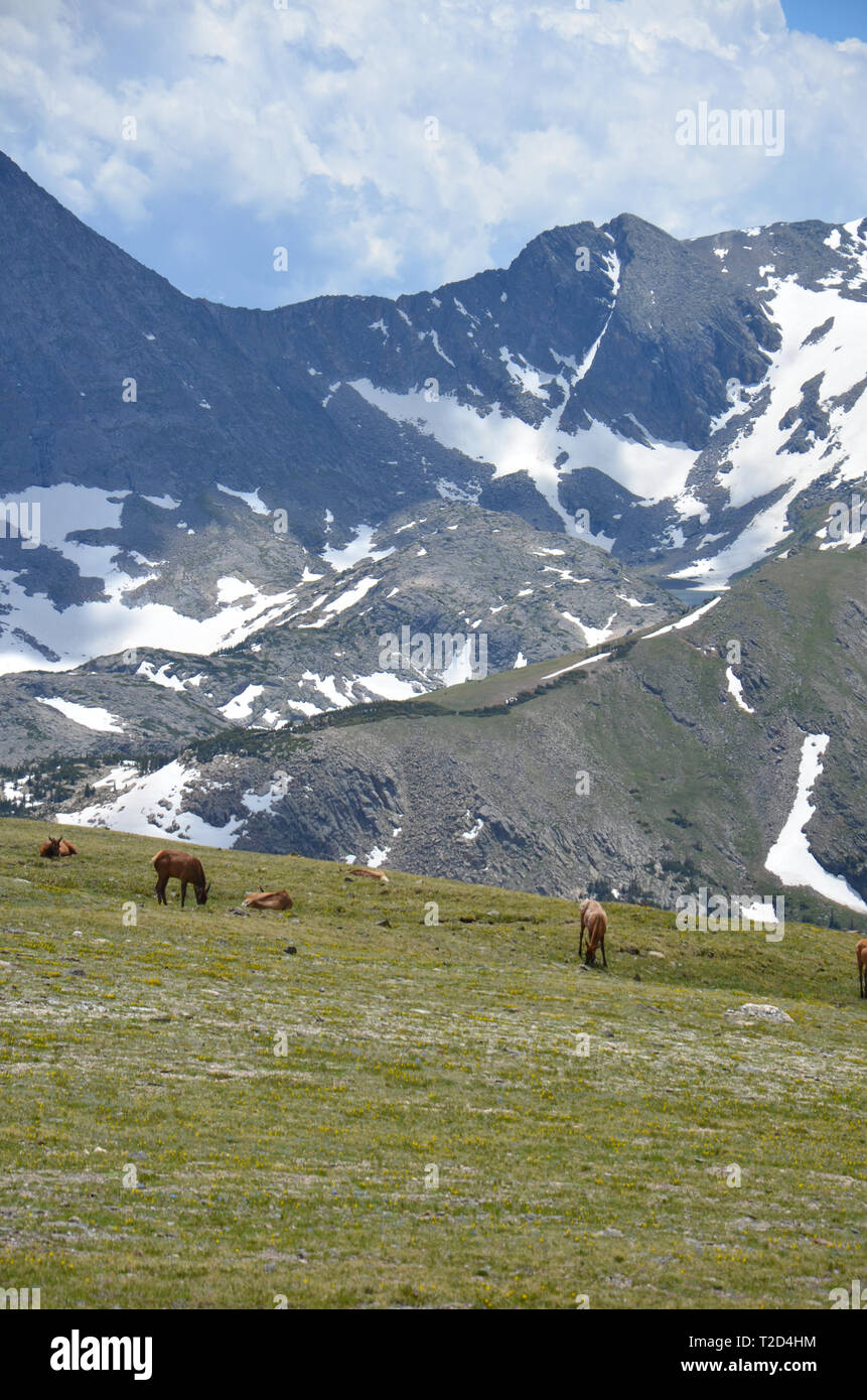 Rocky Mountains Colorado USA Nordamerika Stockfoto