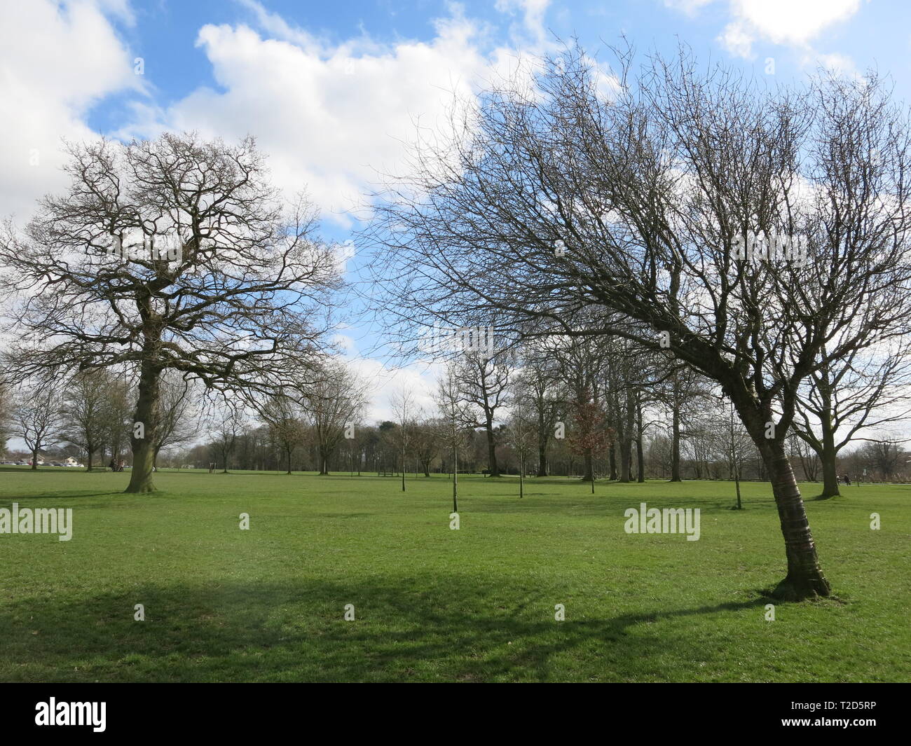 Blick auf nordworden Park an einem sonnigen Tag im Frühling; Weite zu ramble und der Hund in Leyland, Lancashire zu Fuß Stockfoto