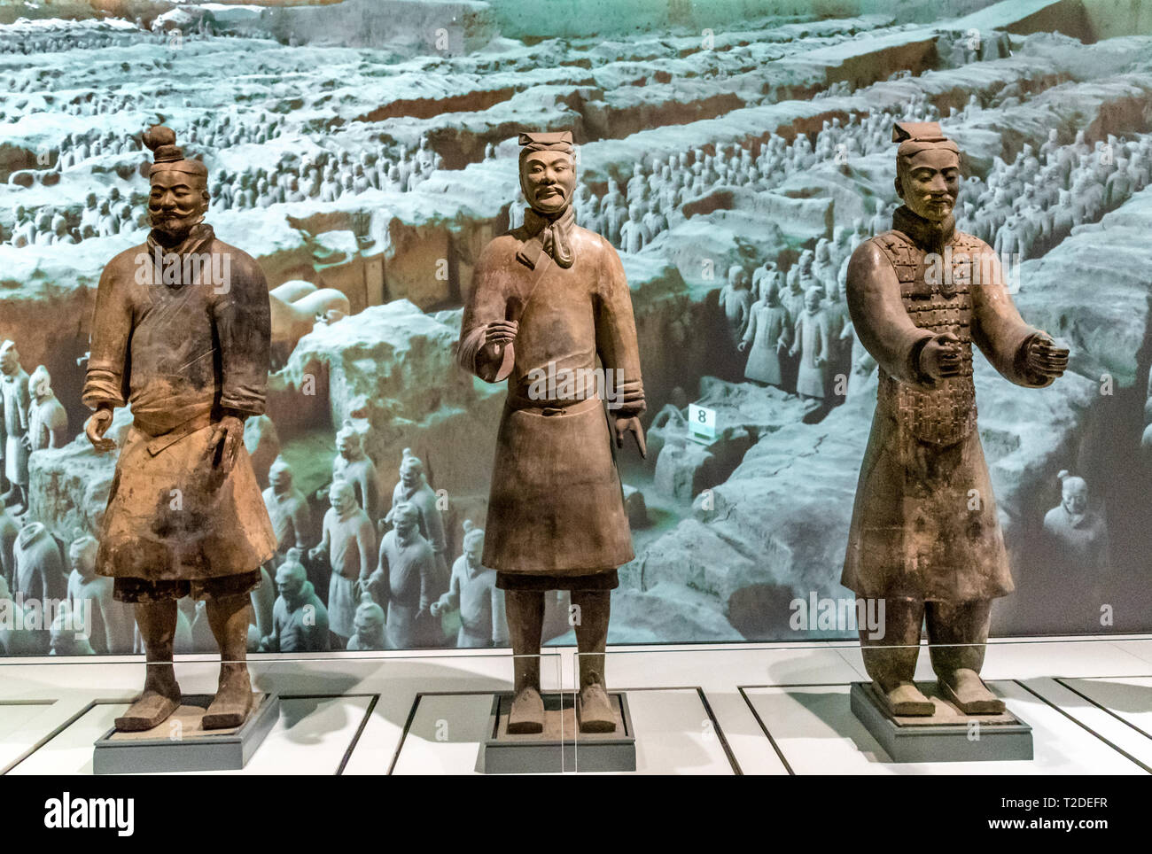 Terracotta Krieger an der Liverpool Museum Stockfoto