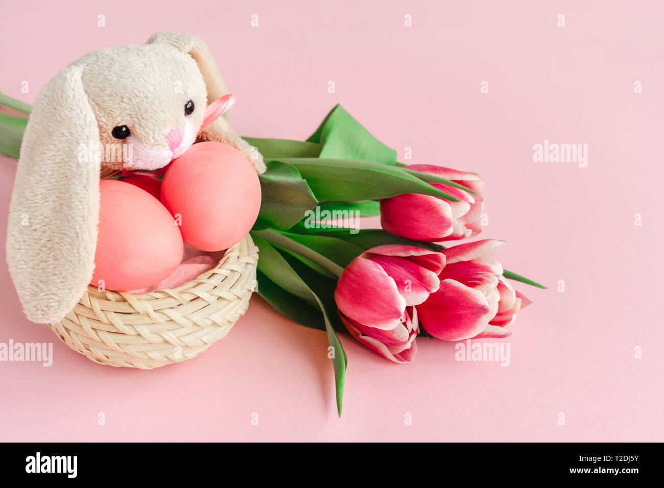 Flauschige Ostern Hase mit leuchtend rosa colorsd Eier in den Korb auf Pastell rose Hintergrund mit Tulpen eingerichtet. Kopieren Sie Platz. Stockfoto