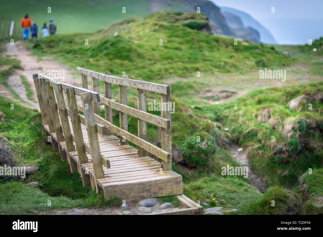 Wanderer mit einer kleinen Holzbrücke über unebenes Gelände auf dem populären South West Coast Path in der Nähe von abbotsham in North Devon zu überqueren. Stockfoto