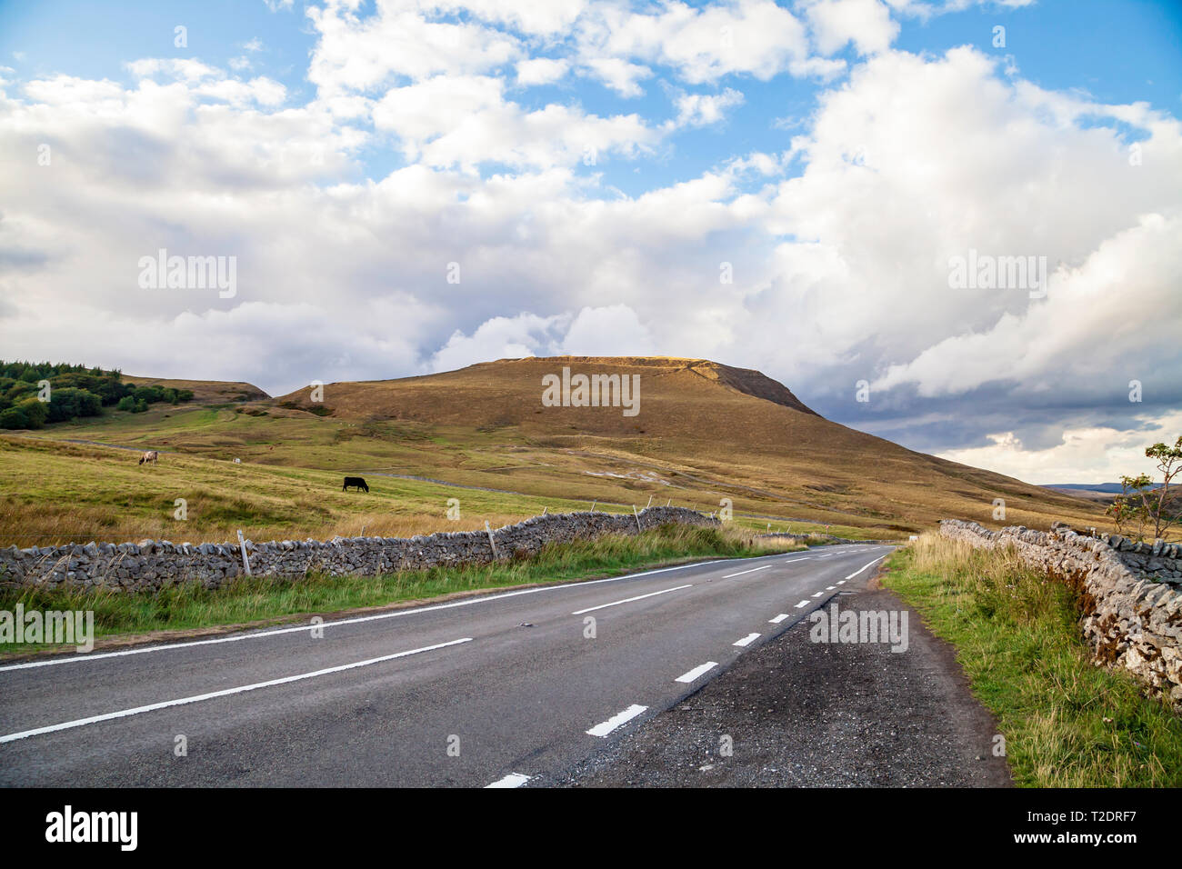 Open road mit Fluchtpunkt Wicklung durch Nationalpark Peak District, Derbyshire, England Stockfoto