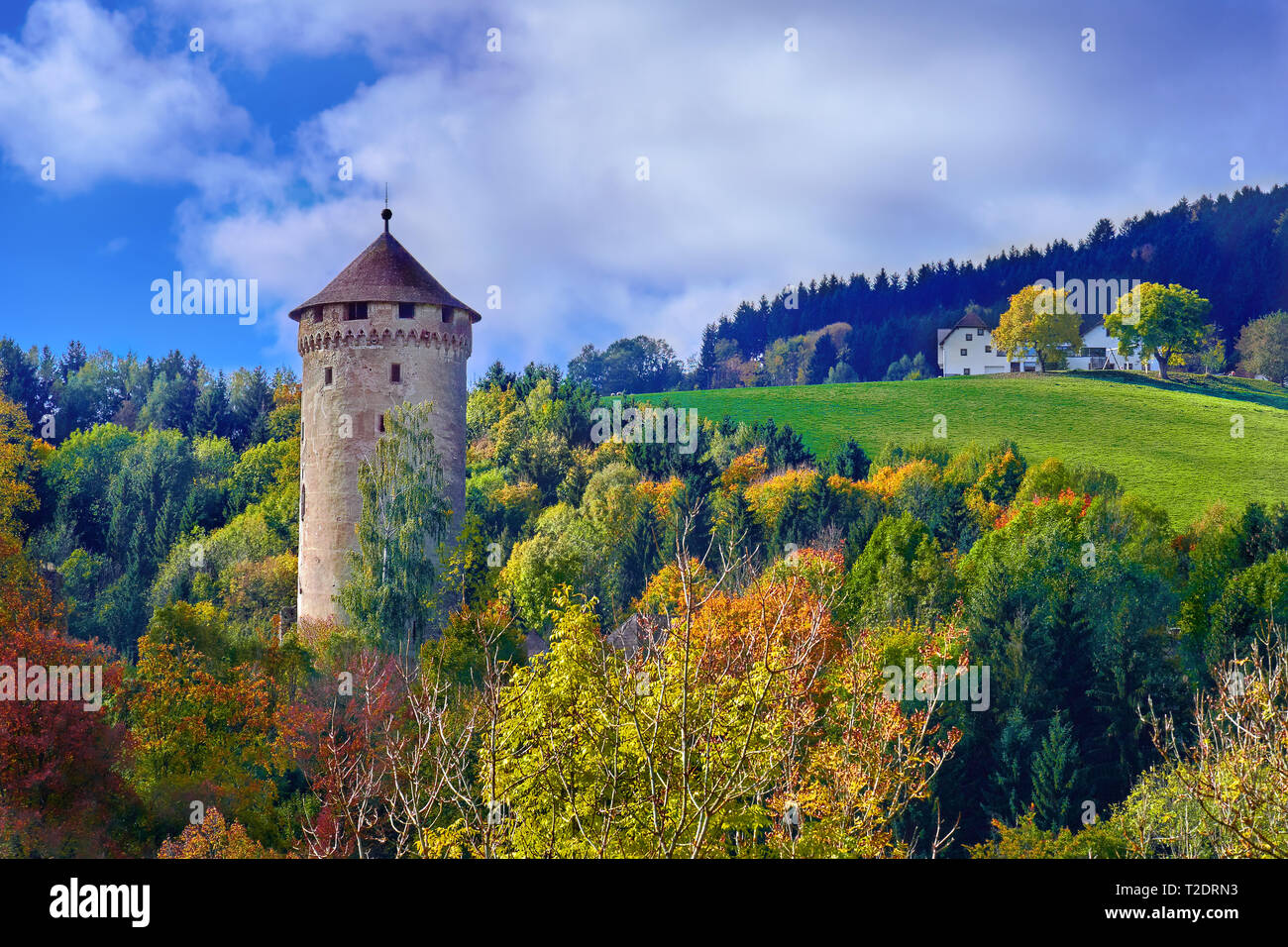Alte mittelalterliche Burg auf einem Hügel im Wald in Europa auf einem hellen, sonnigen Tag. Stockfoto