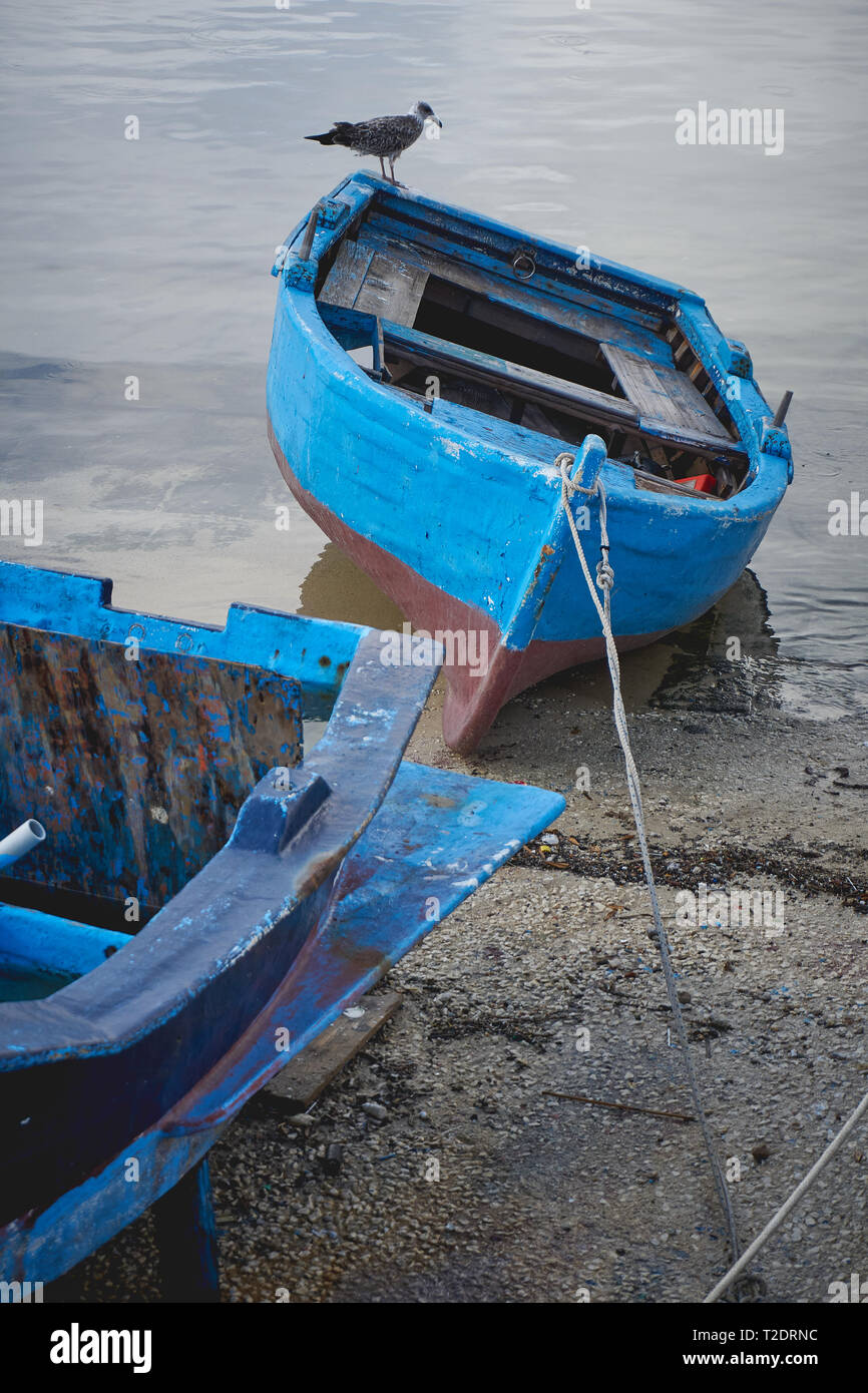 Eine blau lackierte Holz- Boot in einem kleinen Fischerhafen mit einer Möwe ruht auf ihm. Hochformat. Stockfoto