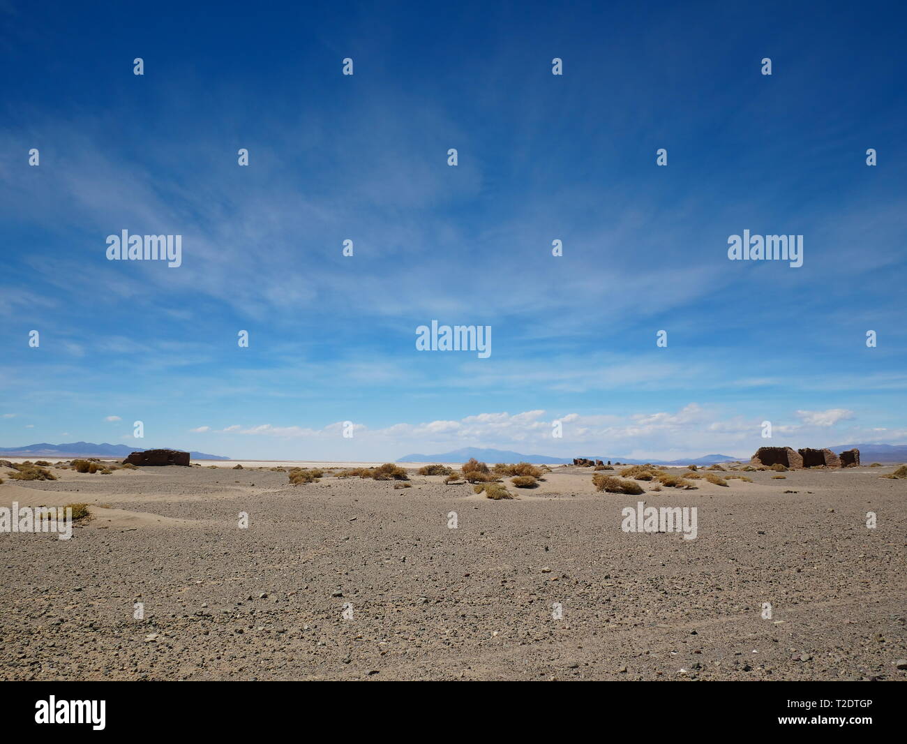 Anden Altiplano in der Nähe von San Antonio de los Cobres, Argentinien Stockfoto