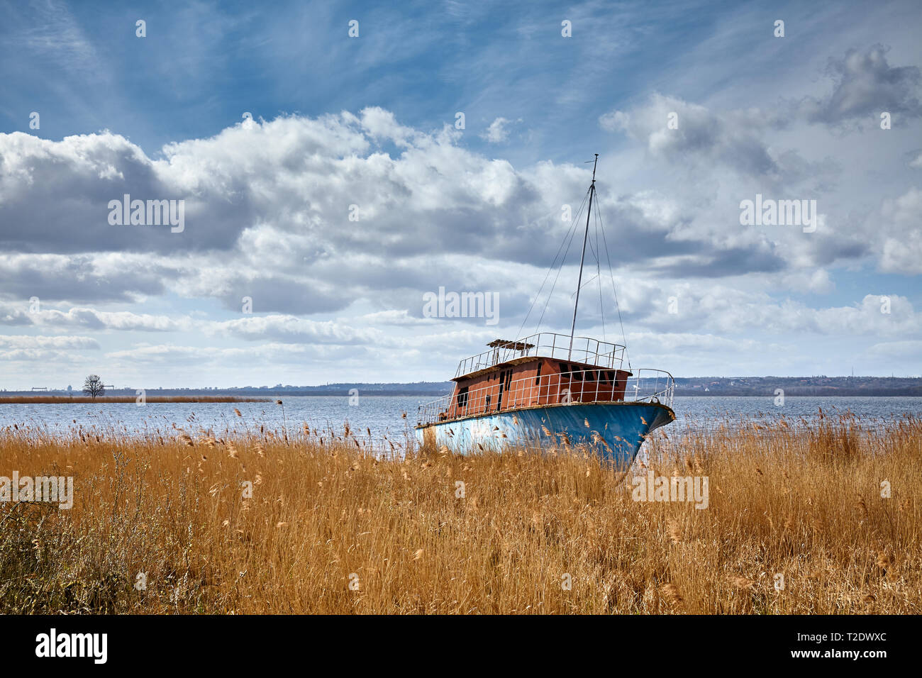 Schiffbruch an Dabie See in lubczyna an einem sonnigen Tag, Polen. Stockfoto