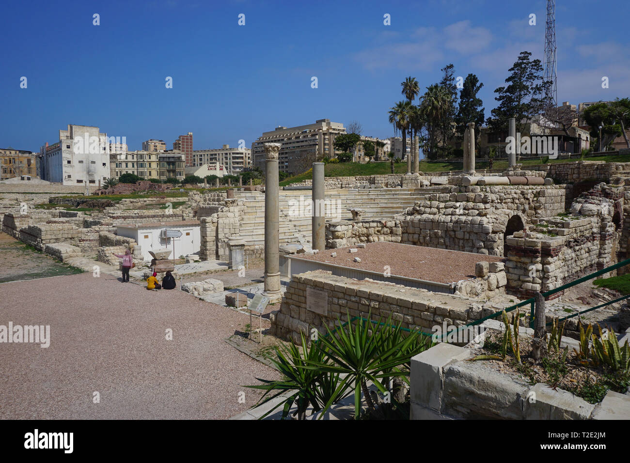 Alexandria, Ägypten: Kom el-Dikka, ein Polish-Egyptian archäologische und  Erhaltung Projekt, eine antike Stadt Zentrum aufgedeckt hat Stockfotografie  - Alamy