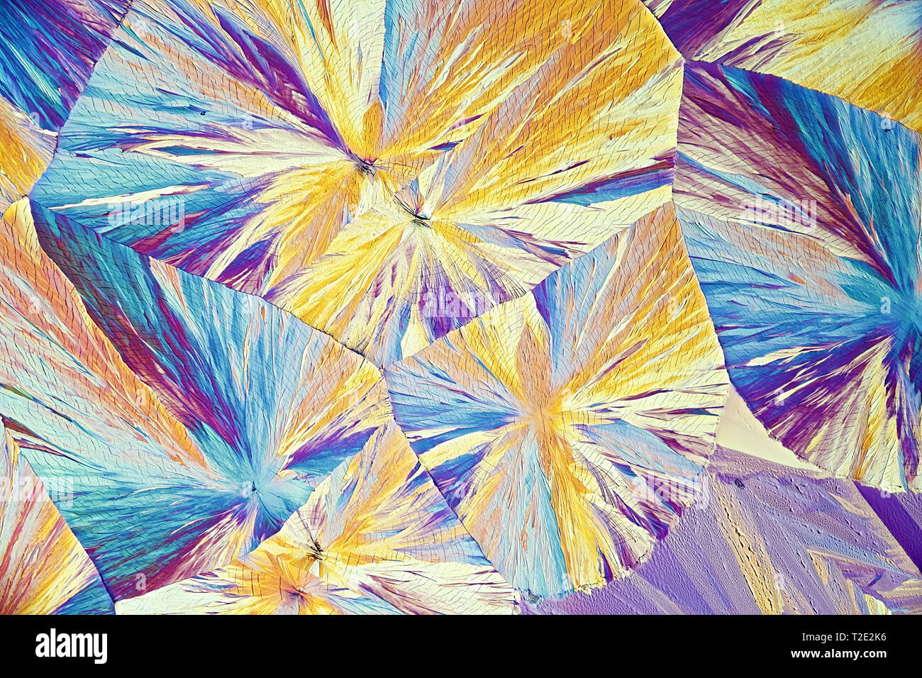 Dies ist Zitronensäure, eine gemeinsame Lebensmittelzusatzstoff, in kristallisierter Form fotografiert. Stockfoto