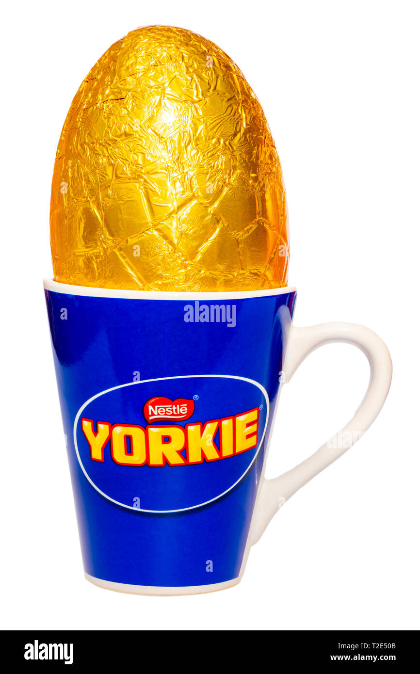 Nestle Yorkie Easter Egg in einem Becher, ausgeschnitten oder auf einem weißen Hintergrund. Stockfoto