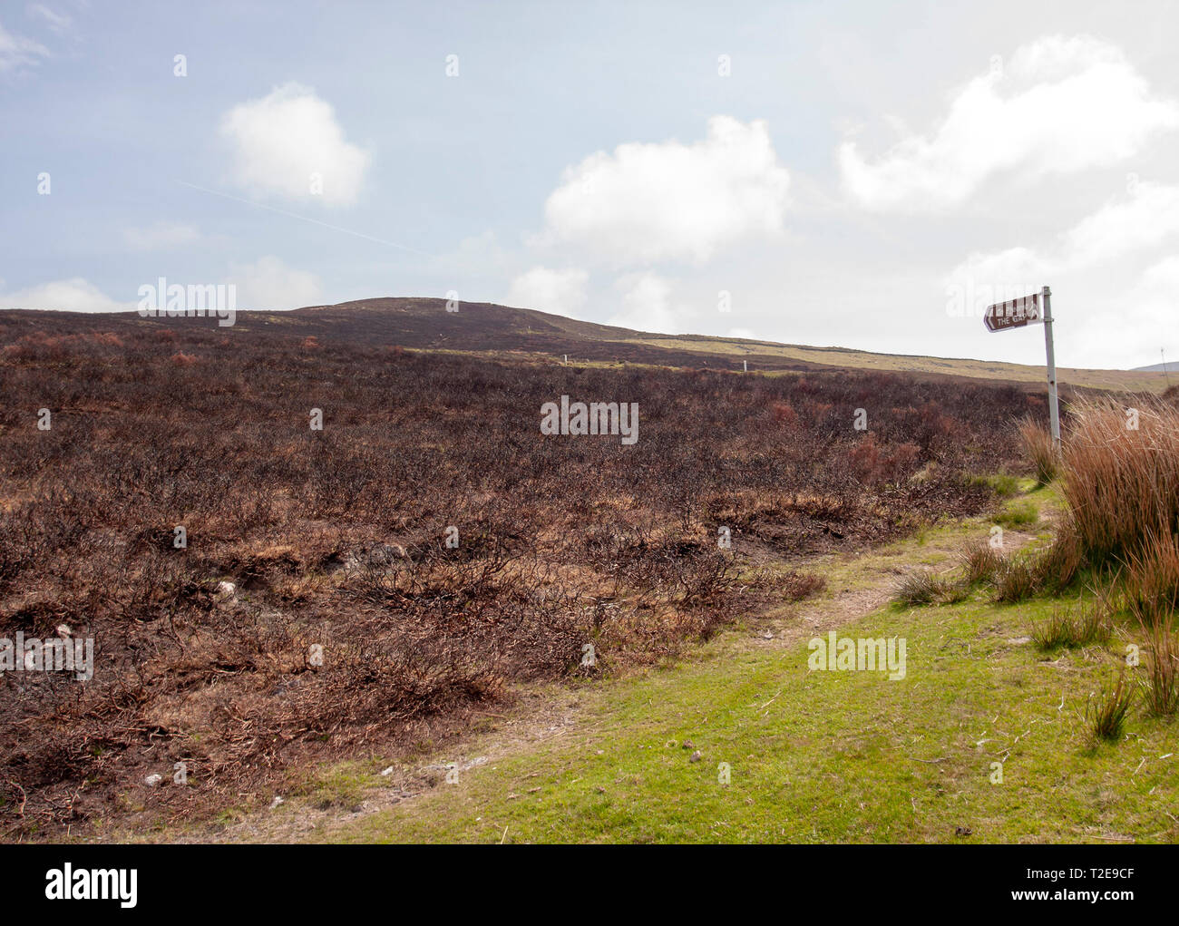Verbrannter oder gezungter Gorse auf Bergmoorland neben einem Wanderwegschild für "The Gap" in den Comeragh Mountains, County Waterford, Munster, Irland. Stockfoto