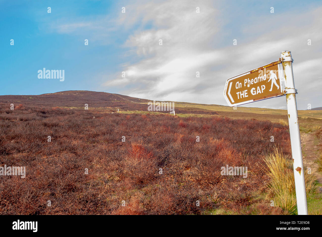 Verbrannter oder gezungter Gorse auf Bergmoorland neben einem Wanderwegschild für "The Gap" in den Comeragh Mountains, County Waterford, Munster, Irland. Stockfoto