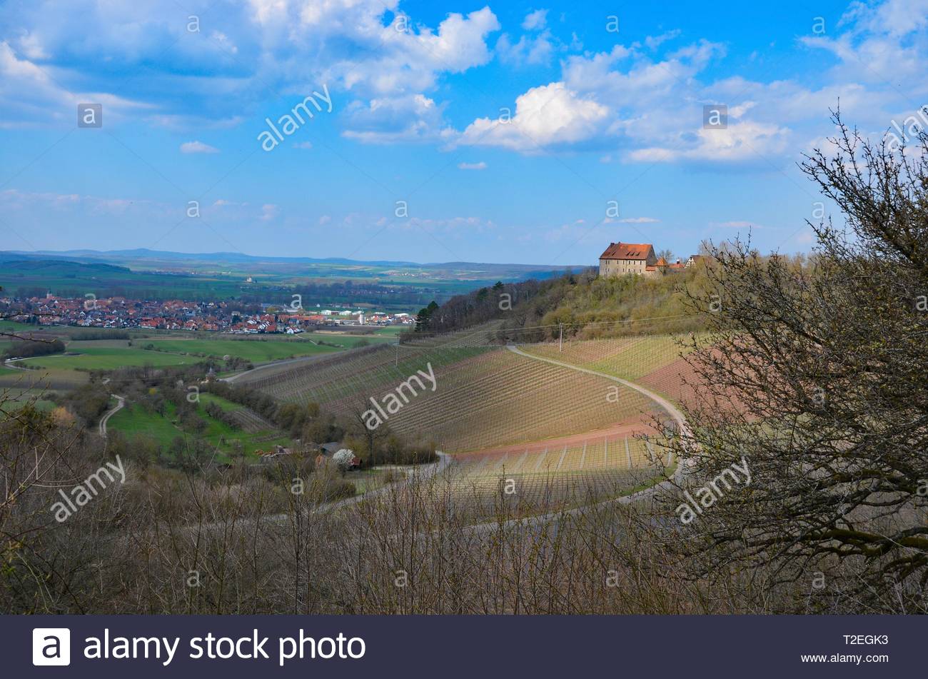 Blick Vom Wein Wanderweg In Die Stadt Und Ipsheim Burg Hoheneck In Mittelfranken Bayern Deutschland In Der Nahe Von Nurnberg Weinberge Sonnig April Stockfotografie Alamy