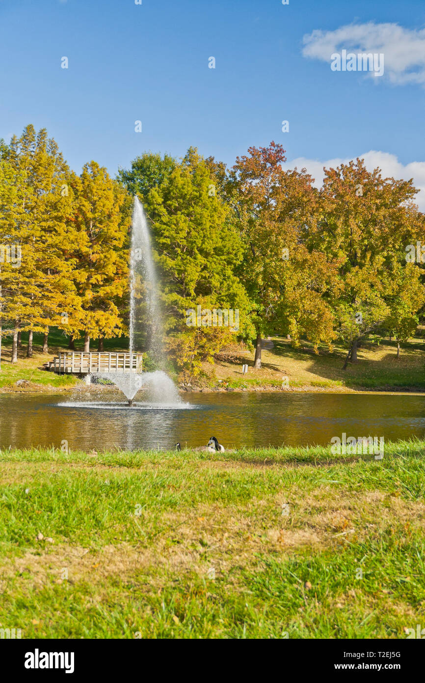 Blauer Himmel mit ein paar Wolken, fallen Farben unter grüne Laub, einem Brunnen, und Gänse auf einem herbstnachmittag von Bugg See an der UMSL Campus. Stockfoto