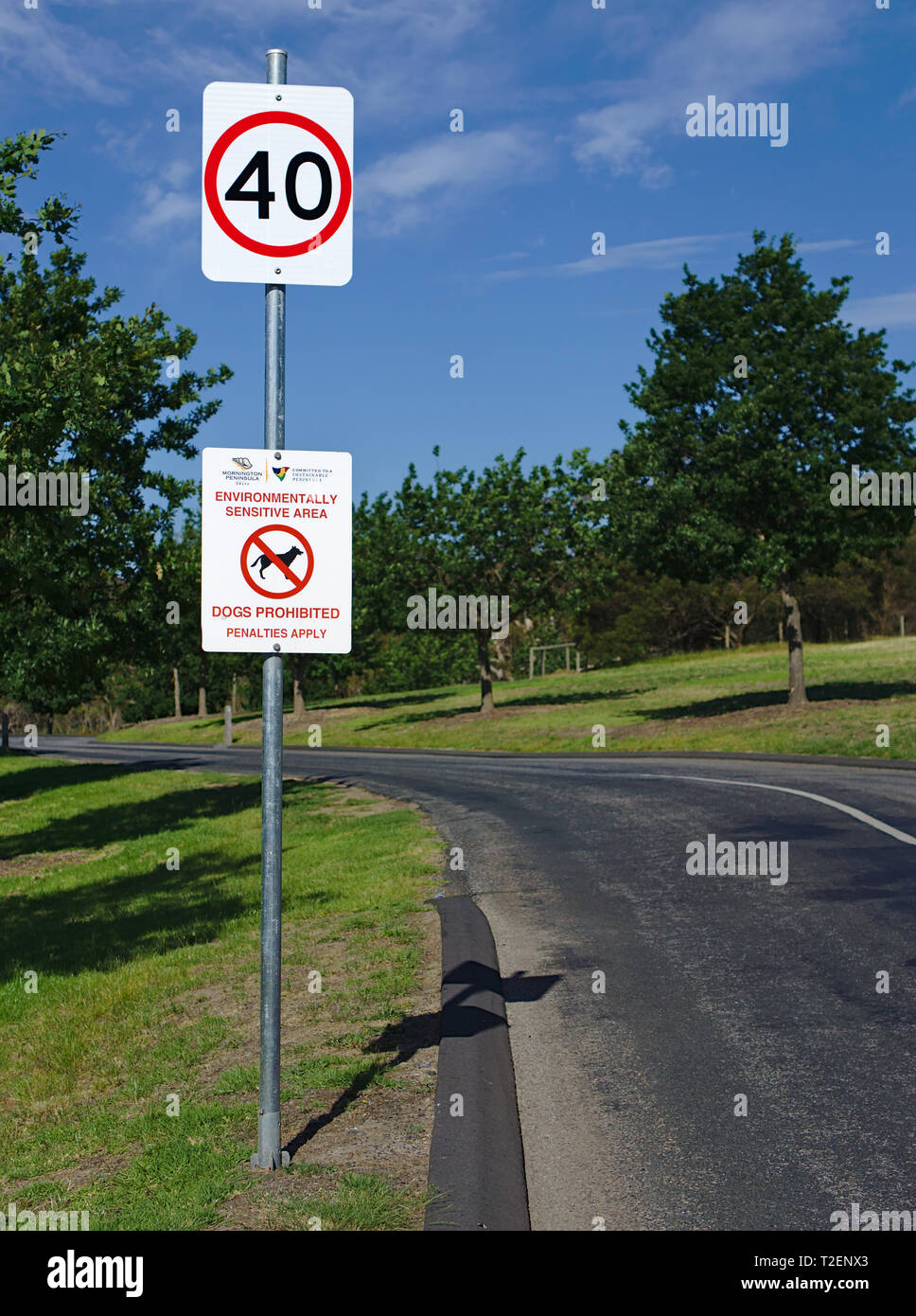 In der Nähe der Höchstgeschwindigkeit 40 Kilometer pro Stunde und Hunde verboten Schild Stockfoto