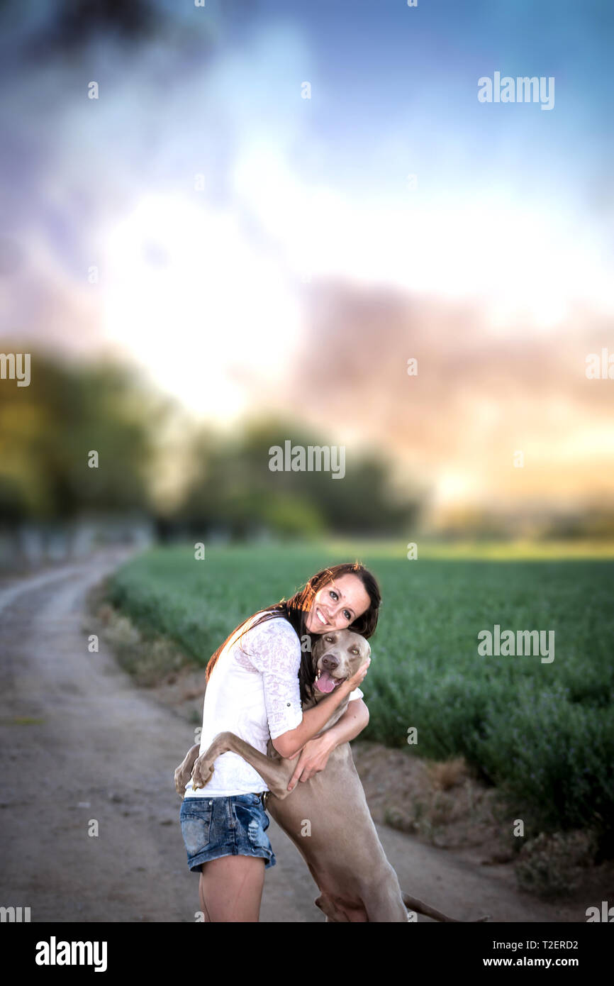 Weimaraner hound junge Frau, die eine Umarmung Stockfoto