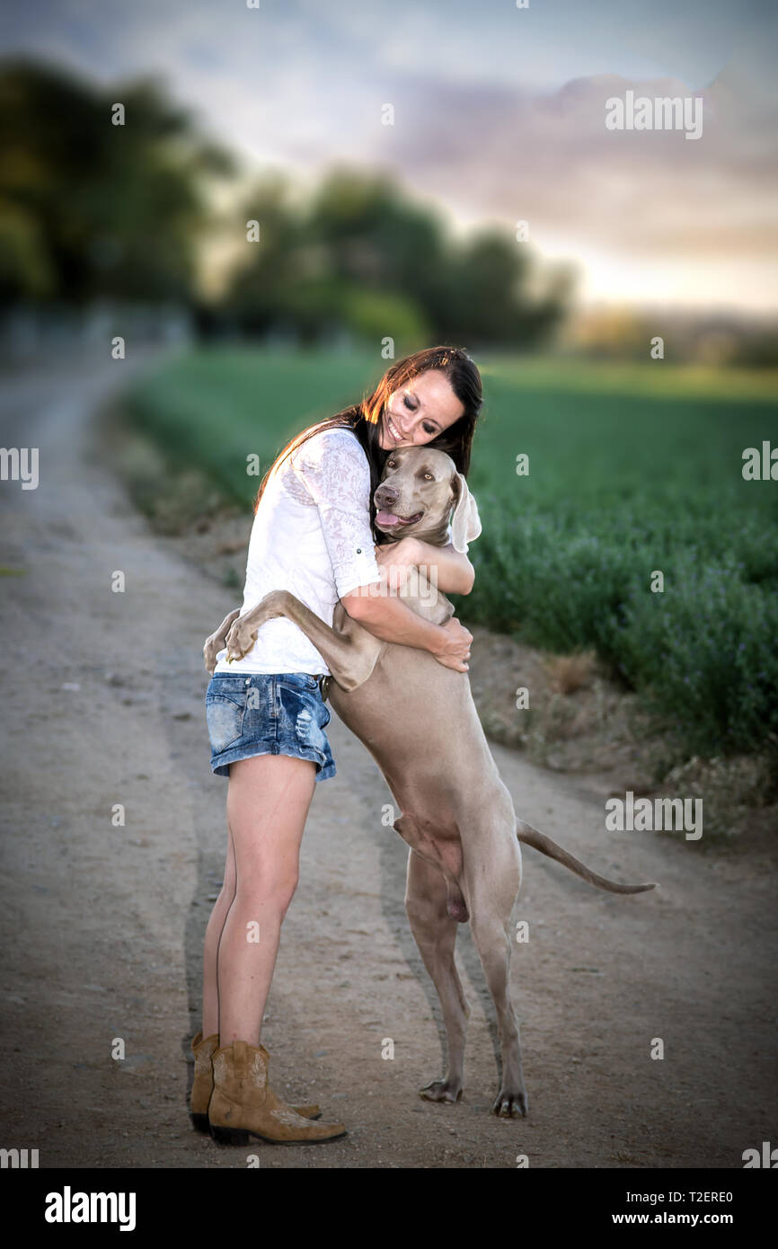 Weimaraner hound junge Frau, die eine Umarmung Stockfoto