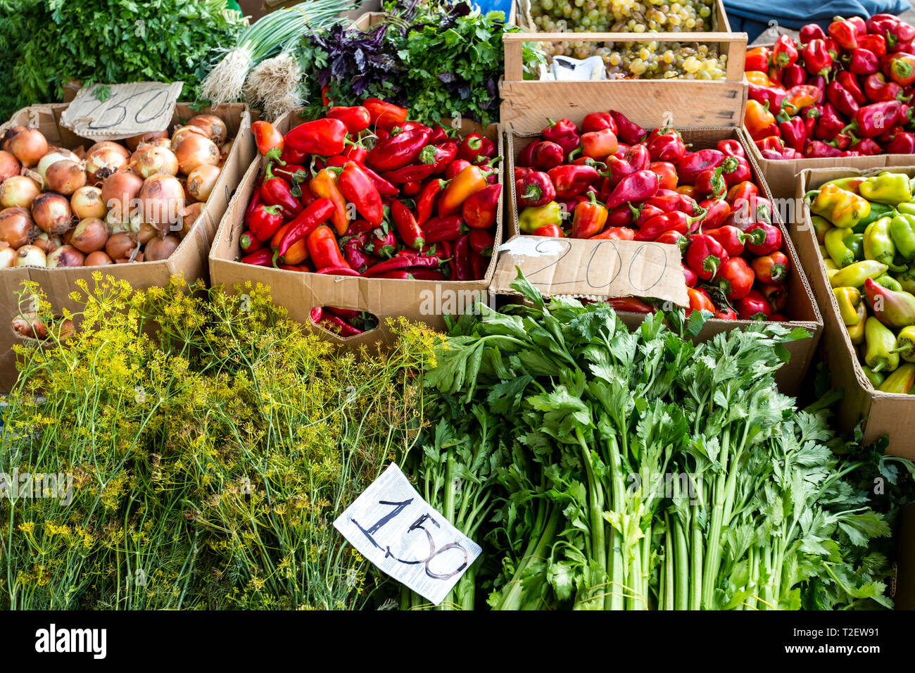 Bauern Lebensmittel Markt mit frischen, abwechslungsreichen, saisonalen, organisches Gemüse und Früchte. Bio Lebensmittel für gesundes Leben. Bauernhof Gemüse und viel Grün in der Box. Stockfoto