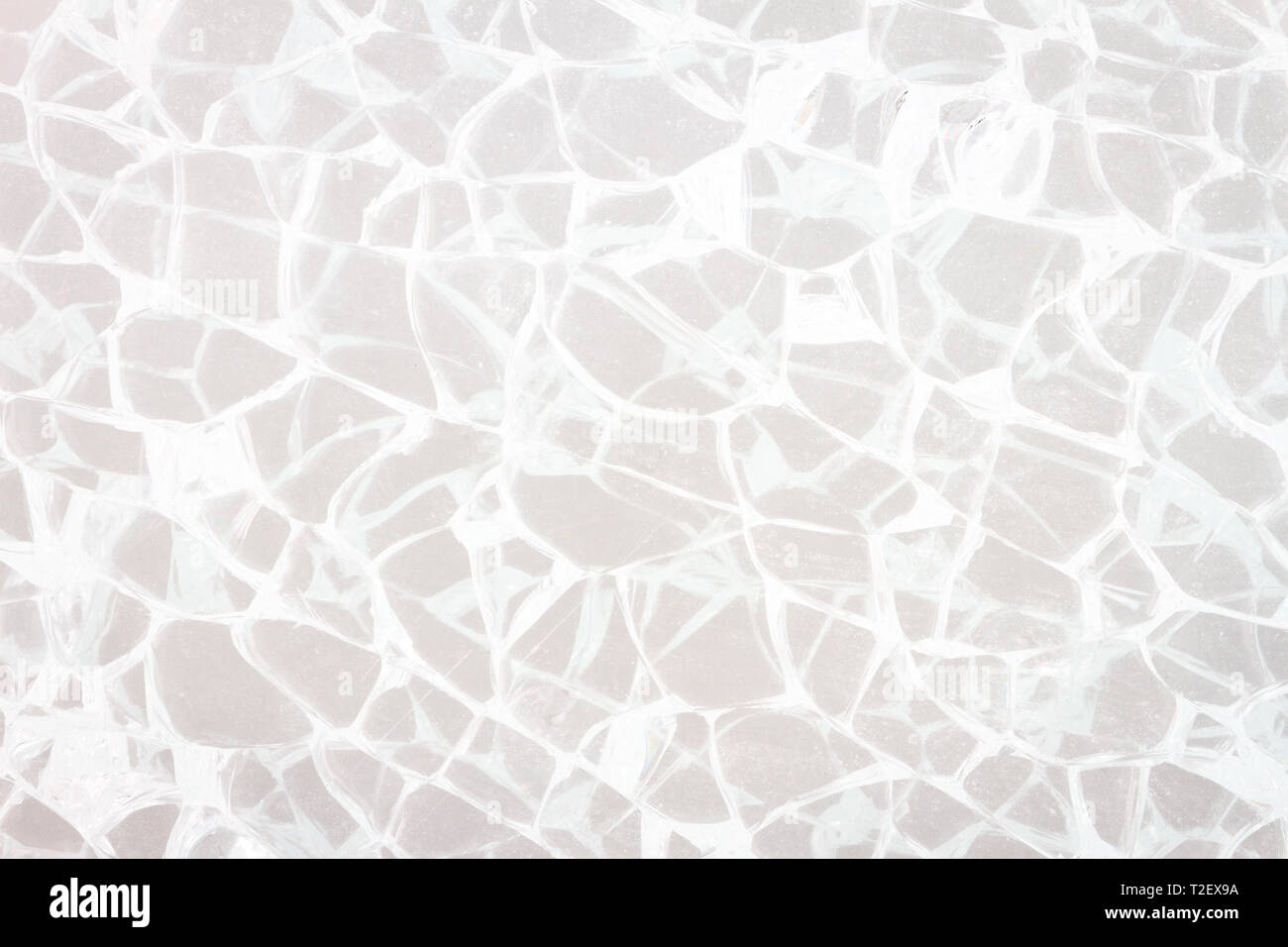 Gebrochene Glas der Windschutzscheibe Textur auf einem grauen Hintergrund. Zerbrochenes Glas mit weißen Risse. Stockfoto