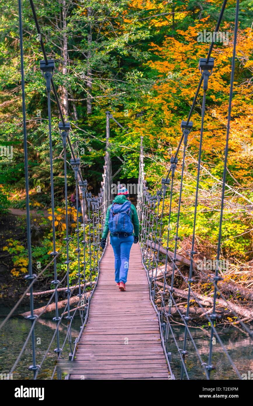 Junge Frau zu Fuß auf einer Hängebrücke über den Fluss, Hain des Patriarchen Trail, Mount Rainier National Park, Washington, USA Stockfoto