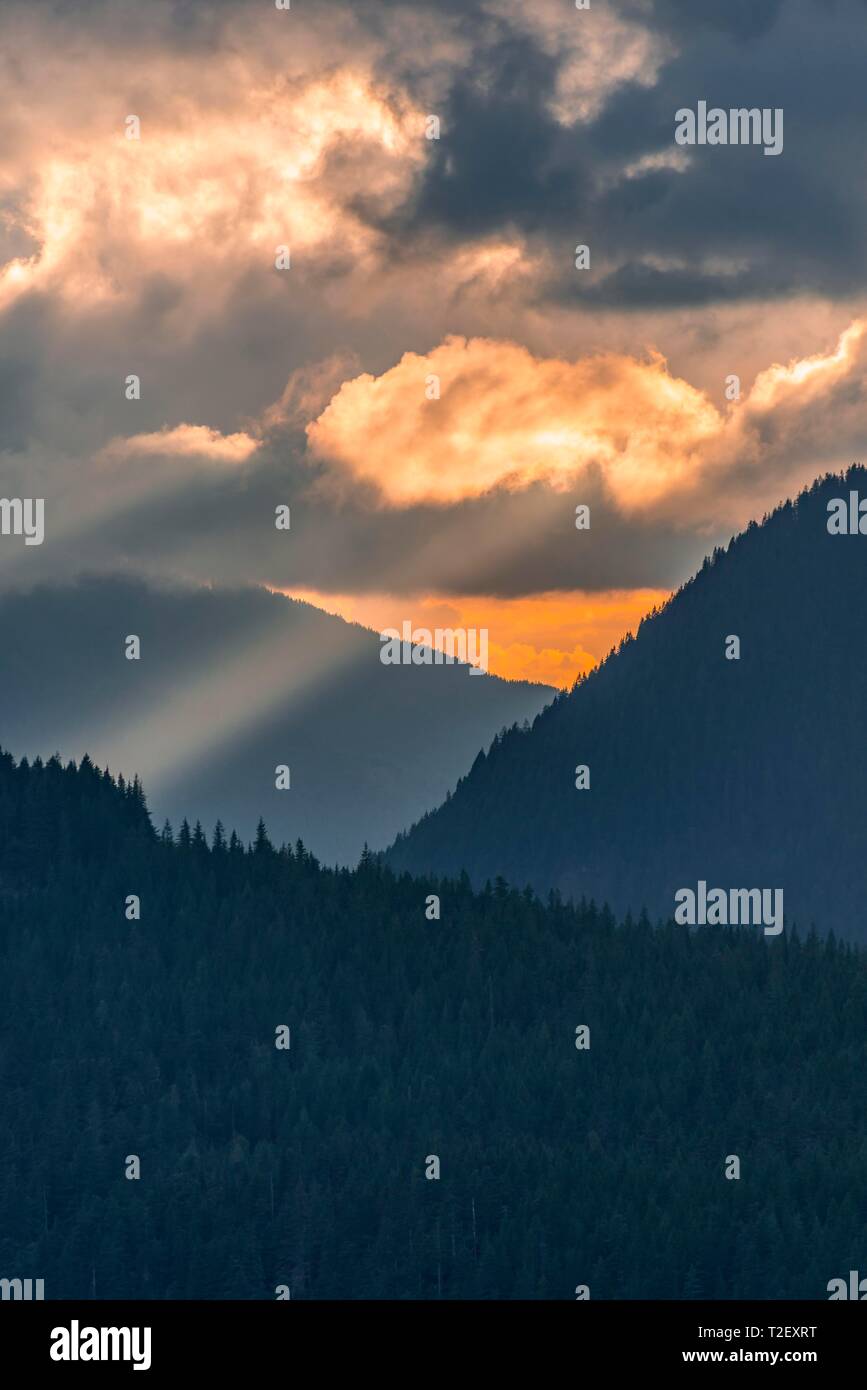 Hügeligen, bewaldeten Berglandschaft bei Sonnenuntergang mit dramatischen Wolken, Mount Rainier National Park, Washington, USA Stockfoto