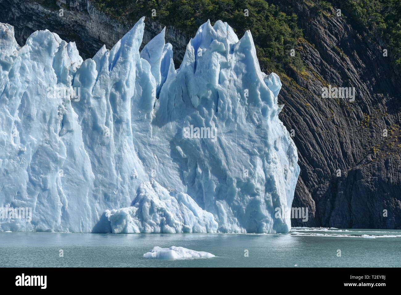 Gletscherzunge, Glaciar Perito Moreno Gletscher, Abbruch Kante, Nationalpark Los Glaciares, Anden, El Calafate, Santa Cruz, Patagonien, Argentinien Stockfoto