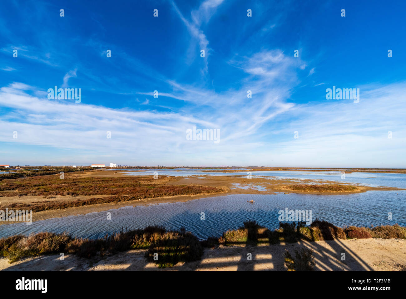 Naturpark der Ebro Delta, Tarragona, Katalonien, Spanien, Europa. Stockfoto