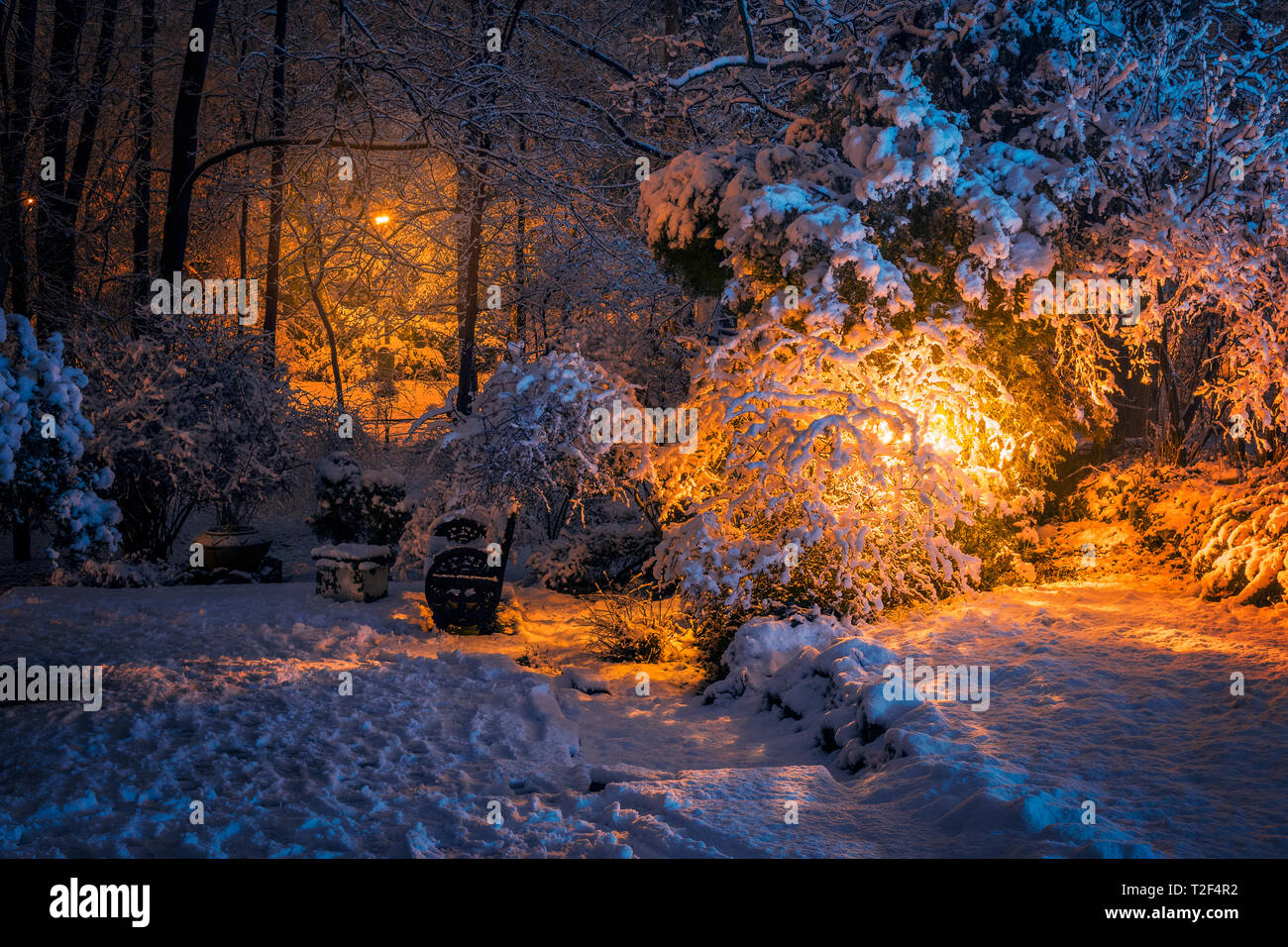 Schönen Winter mit viel Schnee und eine Bank auf eine Stille Nacht in einen Park nach schweren Schnee in Bukarest Rumänien fallende Stockfoto