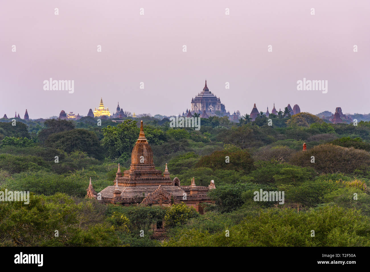 Atemberaubende Aussicht auf die schöne Bagan archäologische Zone mit der thatbyinnyu Tempel und die beleuchtete Golden Palace im Hintergrund, während Sie im Sonnenuntergang Stockfoto