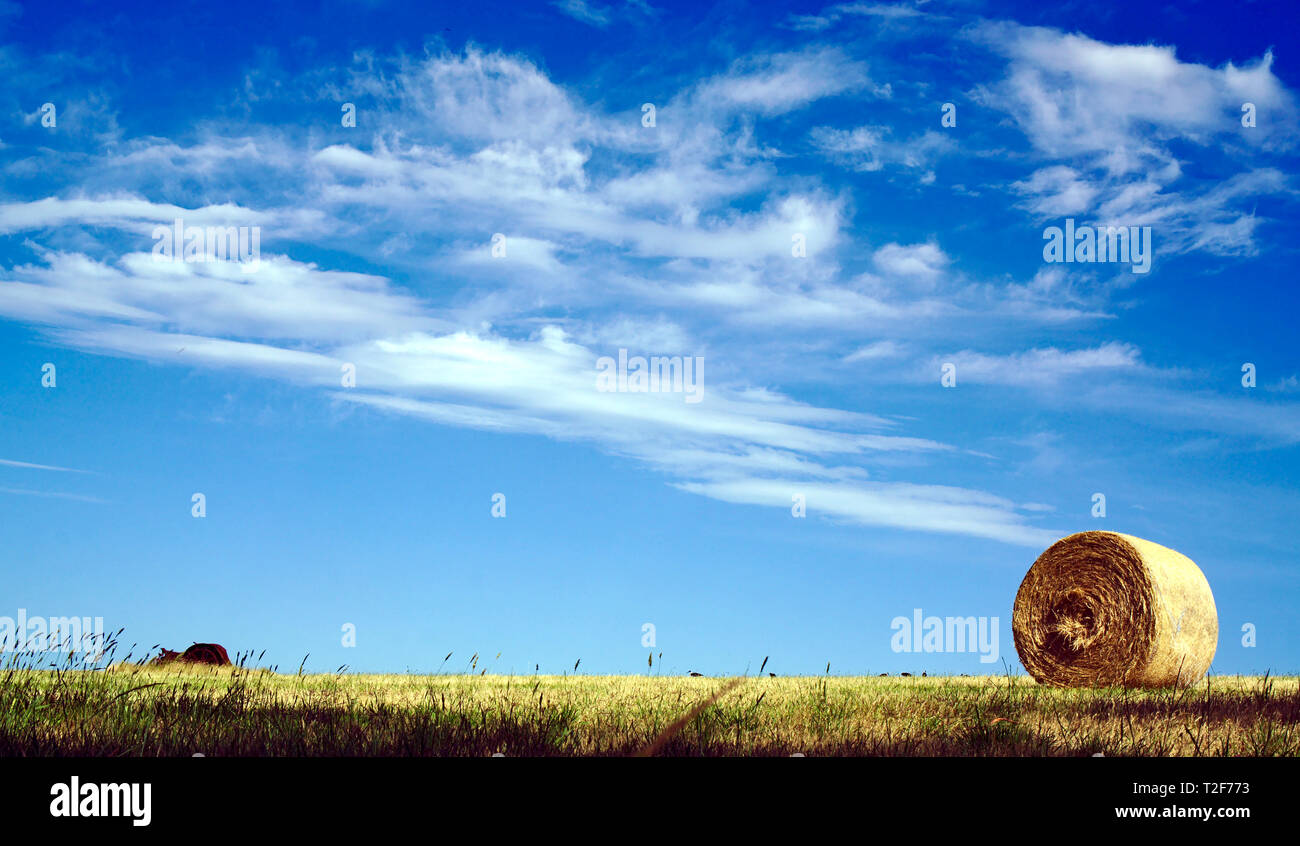 Rundballen Heu Weizen Rolle mit Cloud und blauer Himmel an einem sonnigen Tag Stockfoto