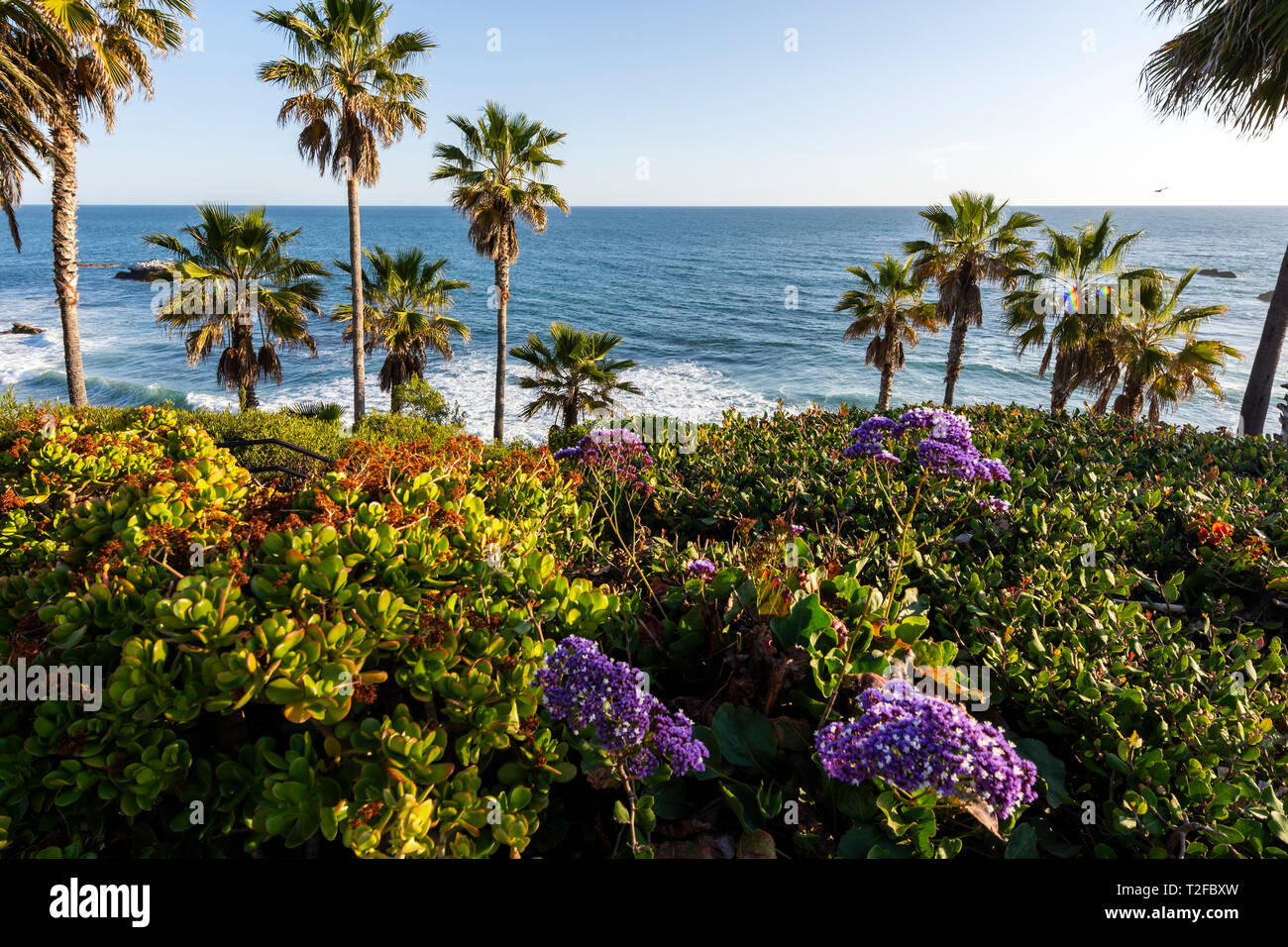 Laguna Beach, Kalifornien, USA Stockfoto