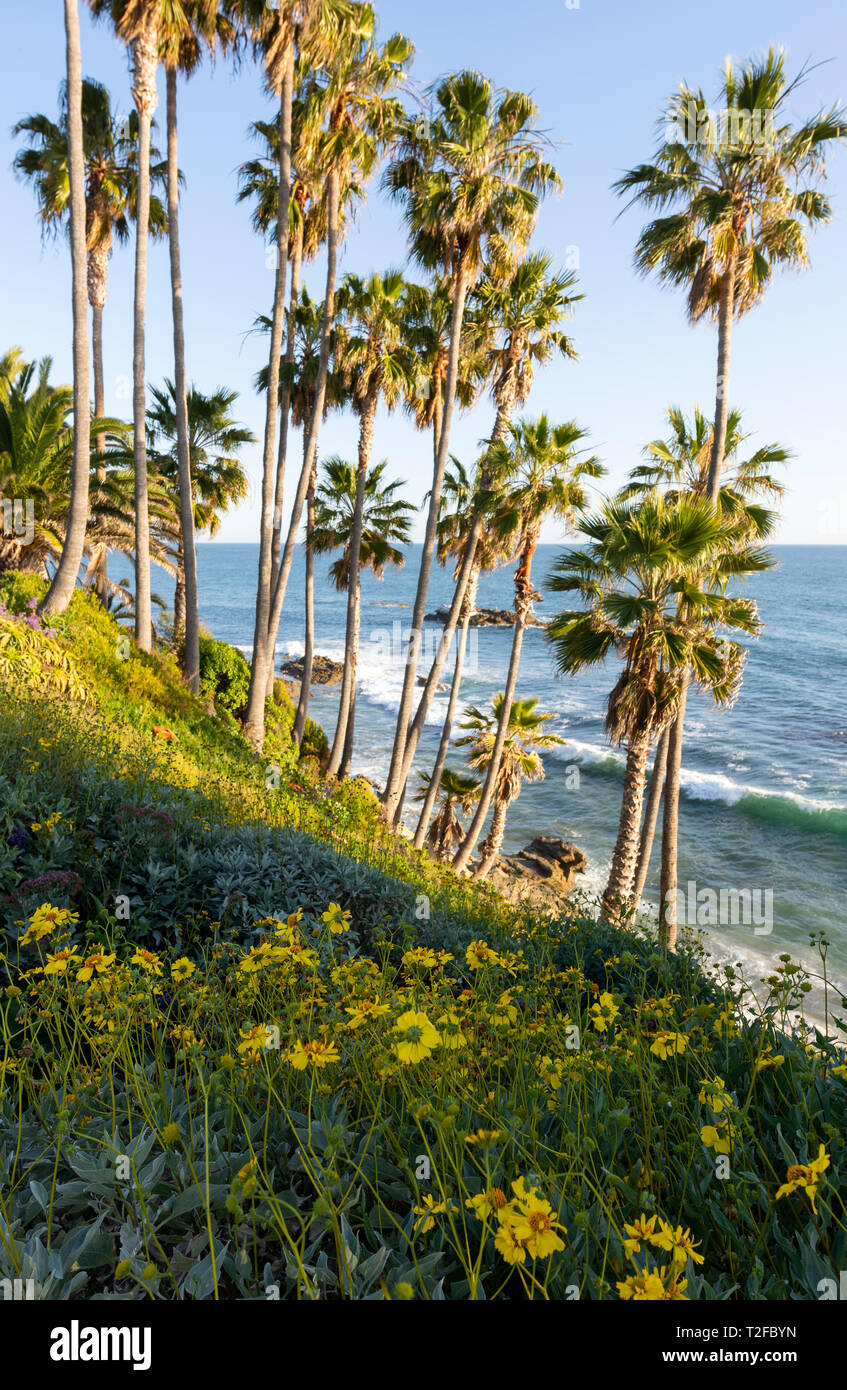 Laguna Beach, Kalifornien, USA Stockfoto