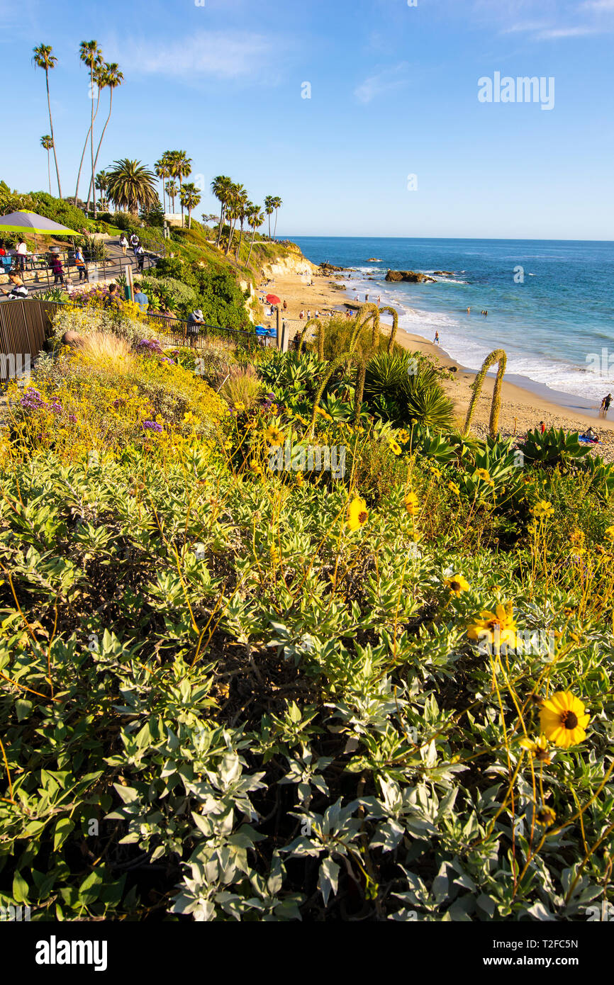 Laguna Beach, Kalifornien, USA Stockfoto