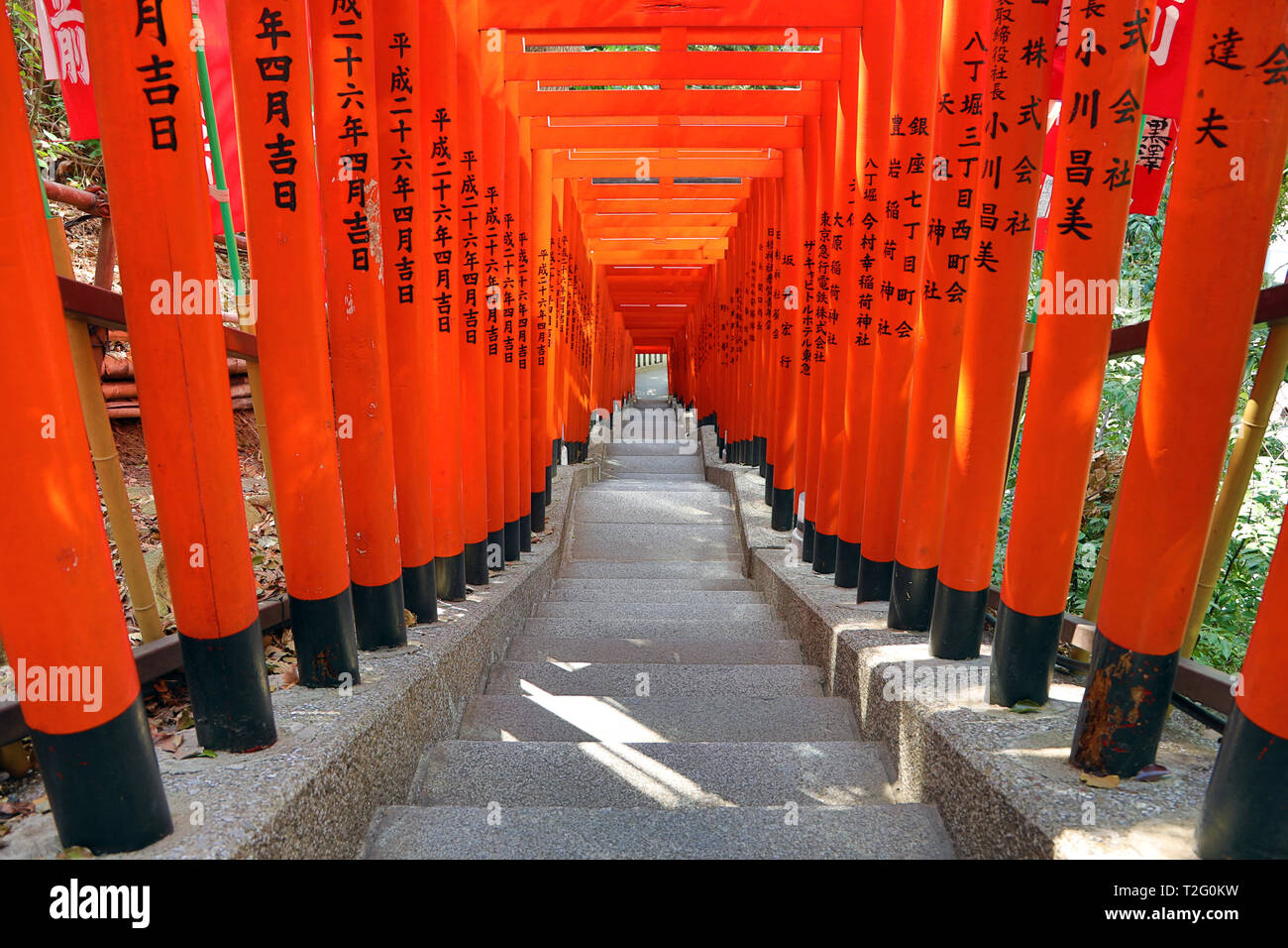 Tunnel der rote Torii Gates im Hie Heiligtum in Asakasa, Tokio, Japan Stockfoto