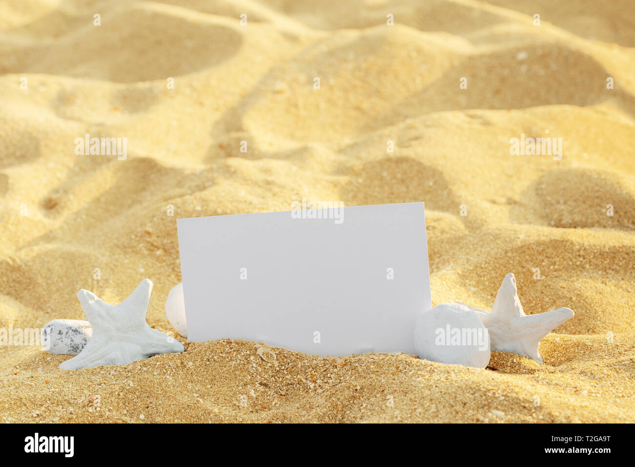 Foto Rahmen auf Muscheln und Sand Hintergrund. Kopieren Sie Platz. Stockfoto