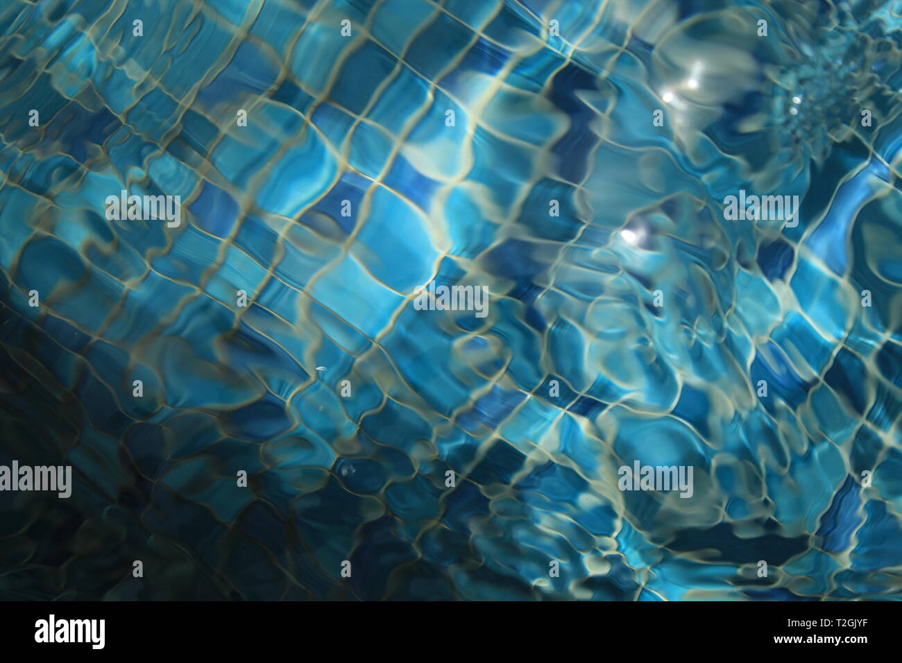In einem Schwimmbad mit Licht von Pool Fliesen durch Wasser gebrochen wird. Stockfoto