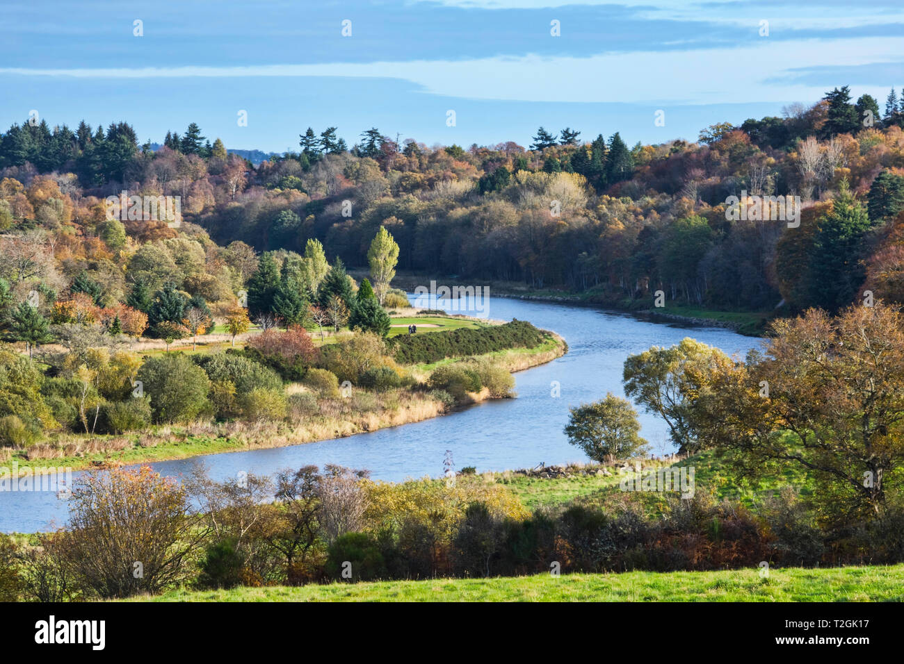 Herbst Farben Royal Deeside, am Ufer des Flusses Dee an Peterculter zum Golfplatz, Aberdeenshire, Hochland, Schottland Großbritannien Stockfoto