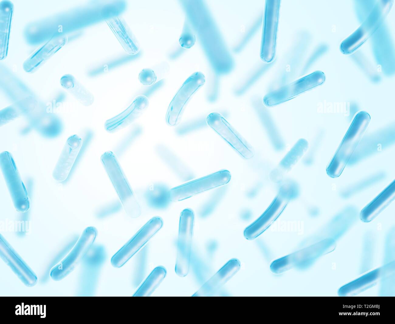 Probiotika Lactobacillus acidophilus. Blaue Farbe. Stockfoto