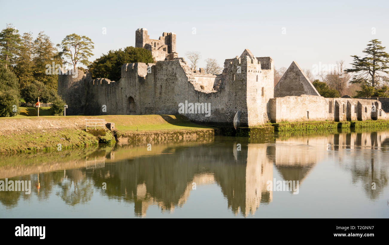 Die Reste einer mittelalterlichen Burg Desmond am Ufer des Flusses Maigue in Adare, County Limerick, Irland, eingesehen werden. Stockfoto