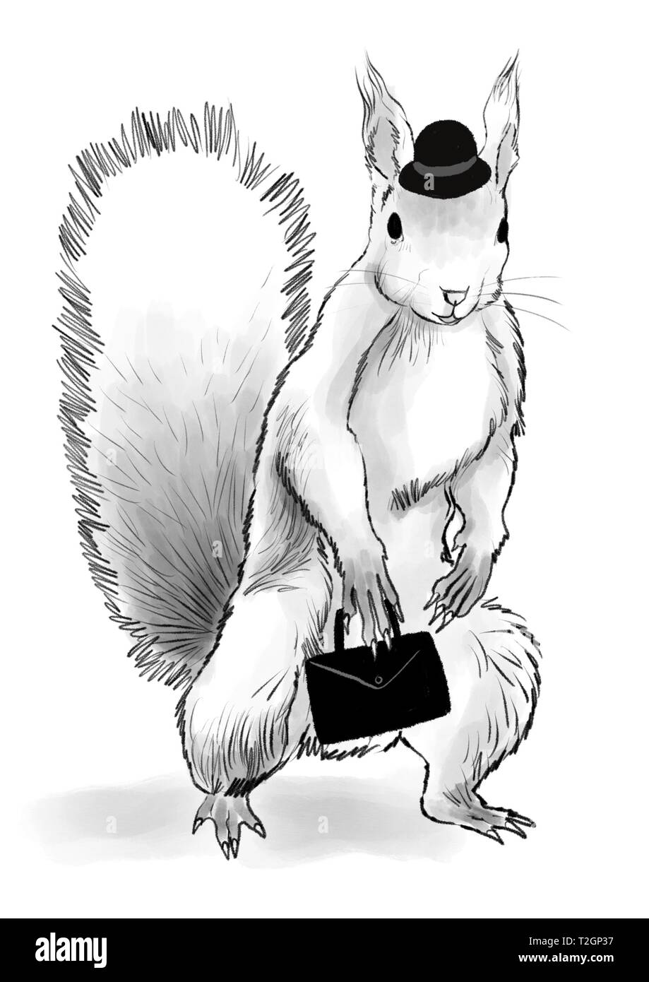 Ein Eichhörnchen für Arbeit bereit Stockfoto