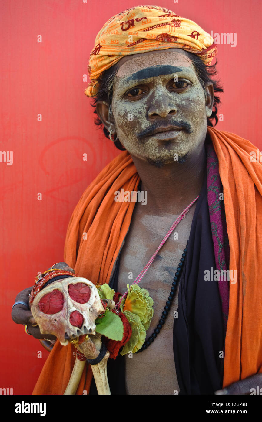 Hinduistische Asket ('Sadhu''), das der Aghori Sekte (Indien). Er ist ein  Affe Schädel Stockfotografie - Alamy