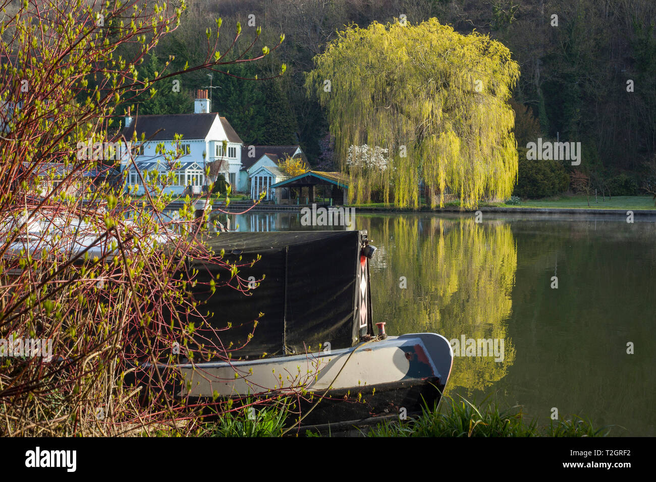 Ein 15-04 günstig auf dem Fluss Thmaes oben Marsh lock mit dem frischen grünen Laub eines Willow Tree hinter Stockfoto