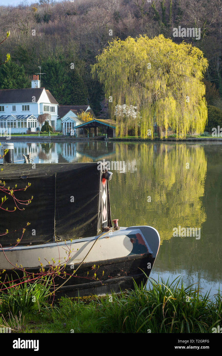 Ein 15-04 günstig auf dem Fluss Thmaes oben Marsh lock mit dem frischen grünen Laub eines Willow Tree hinter Stockfoto