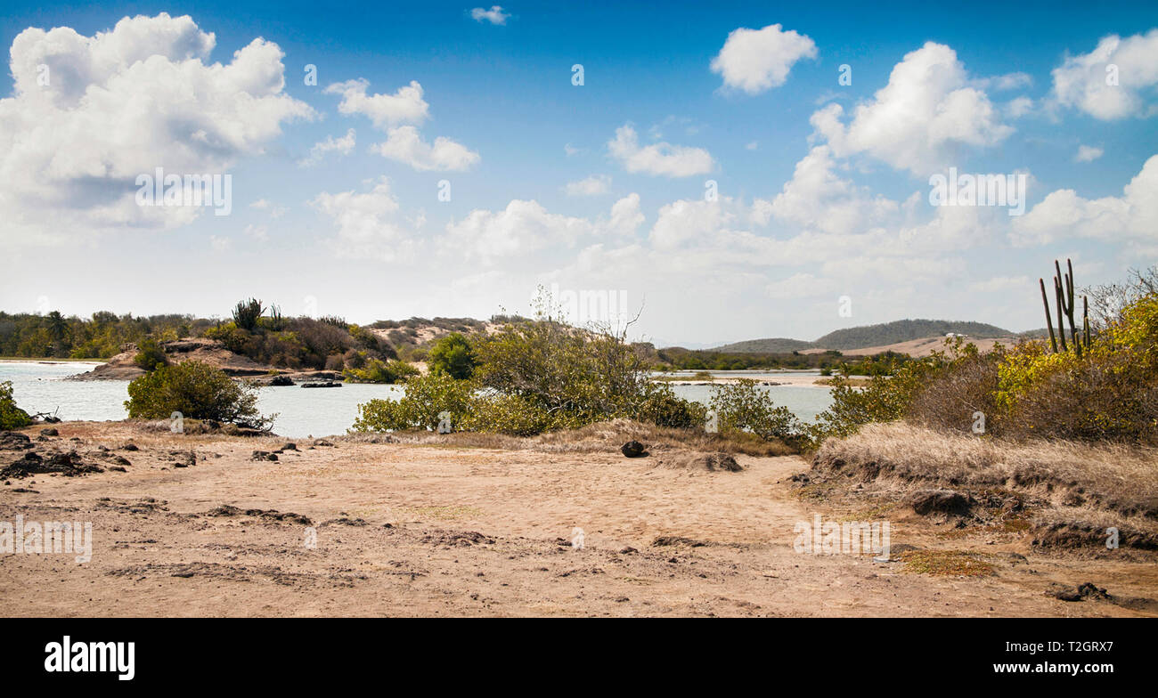 Panorama einer Brackige Lagune Etang des salines am Pointe Sud, Sainte Anne, Martinique. Stockfoto