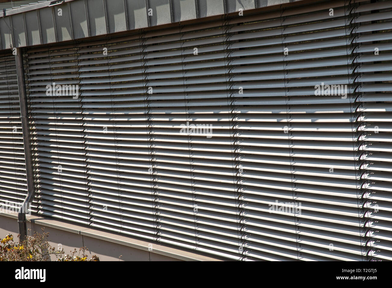 Eine Fensterfront mit grauen Lamellen Fensterläden geschlossen Stockfoto