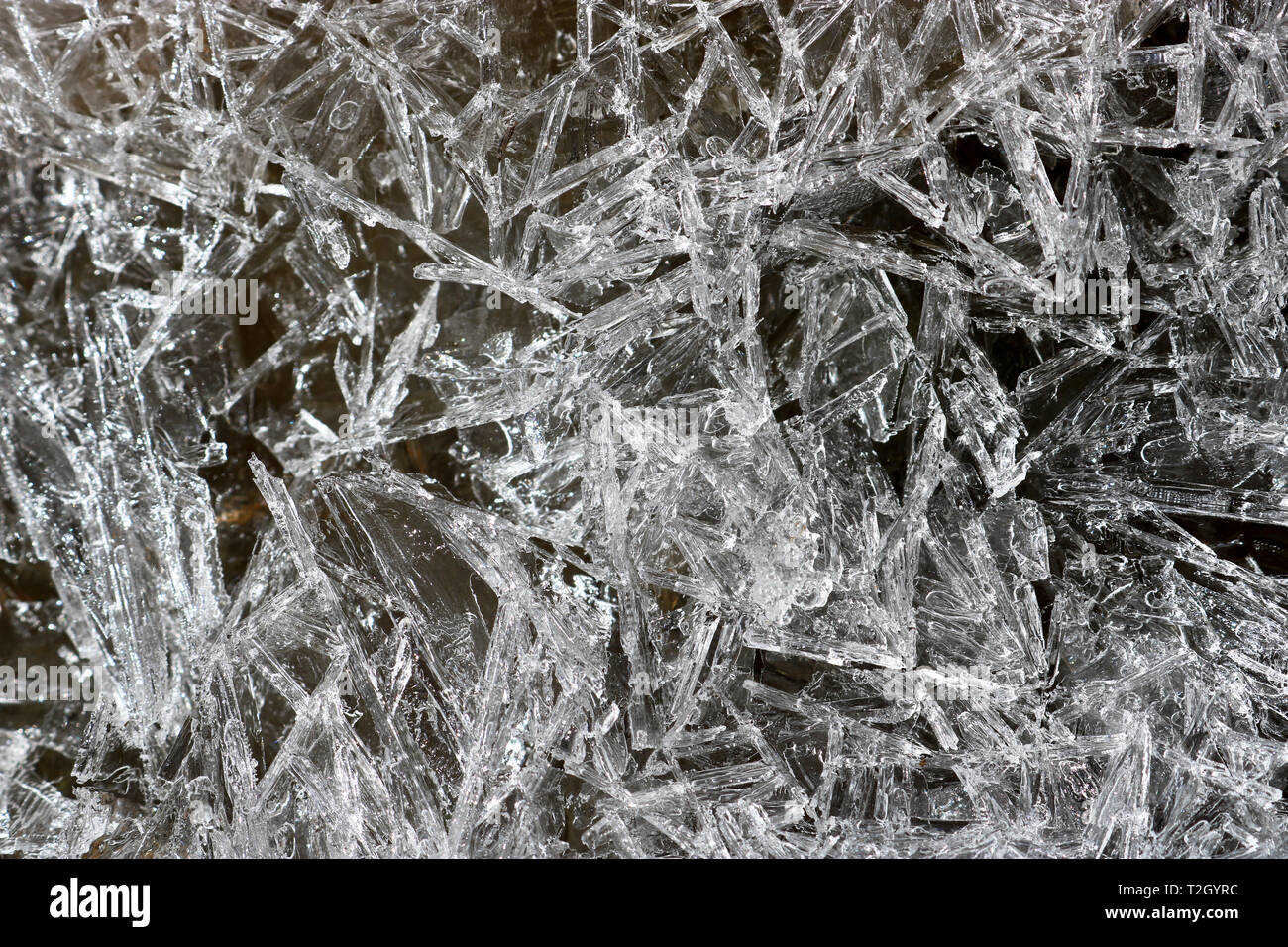 Schmelzende Eiskristalle im Frühjahr Stockfoto